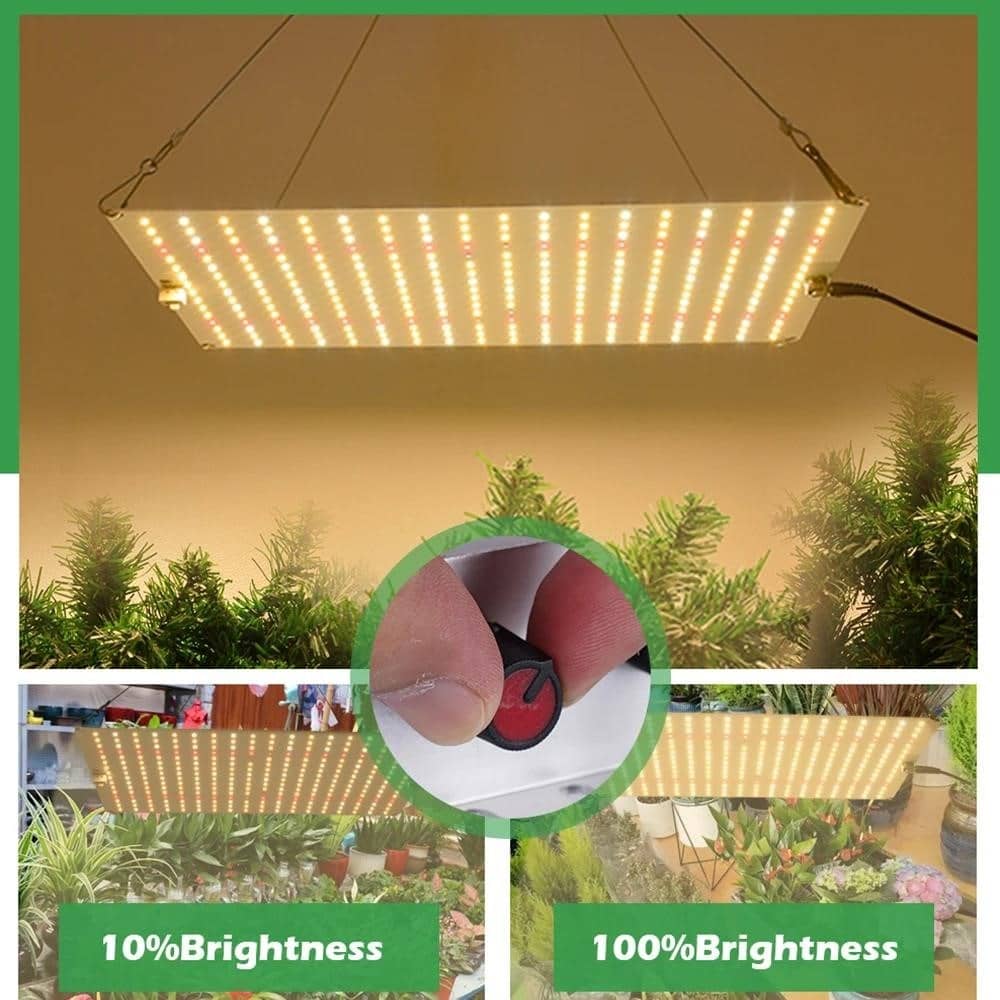 Samsung LM281B Quantum LED Grow Light Veg and Bloom 1500W fitolampas ...
